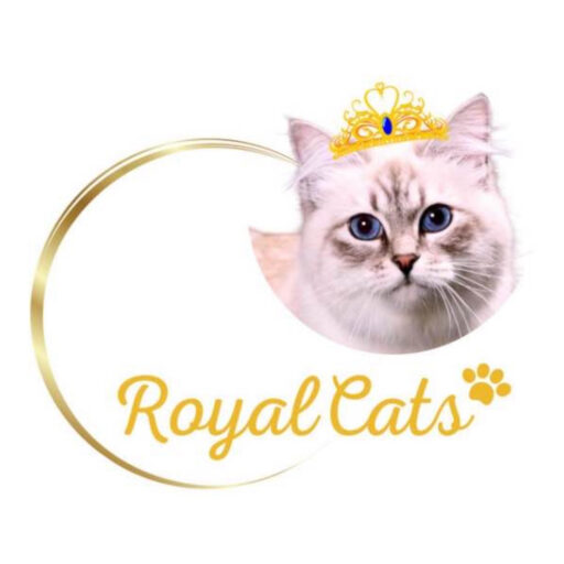 royalcats
